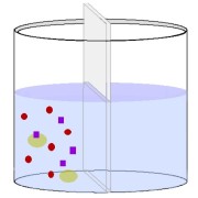 拡散の図（前）